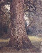 Study of the trunk of an elm tree John Constable